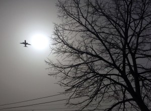 All Credits to Alexandra Gaspar, (Lisbon, Portugal)